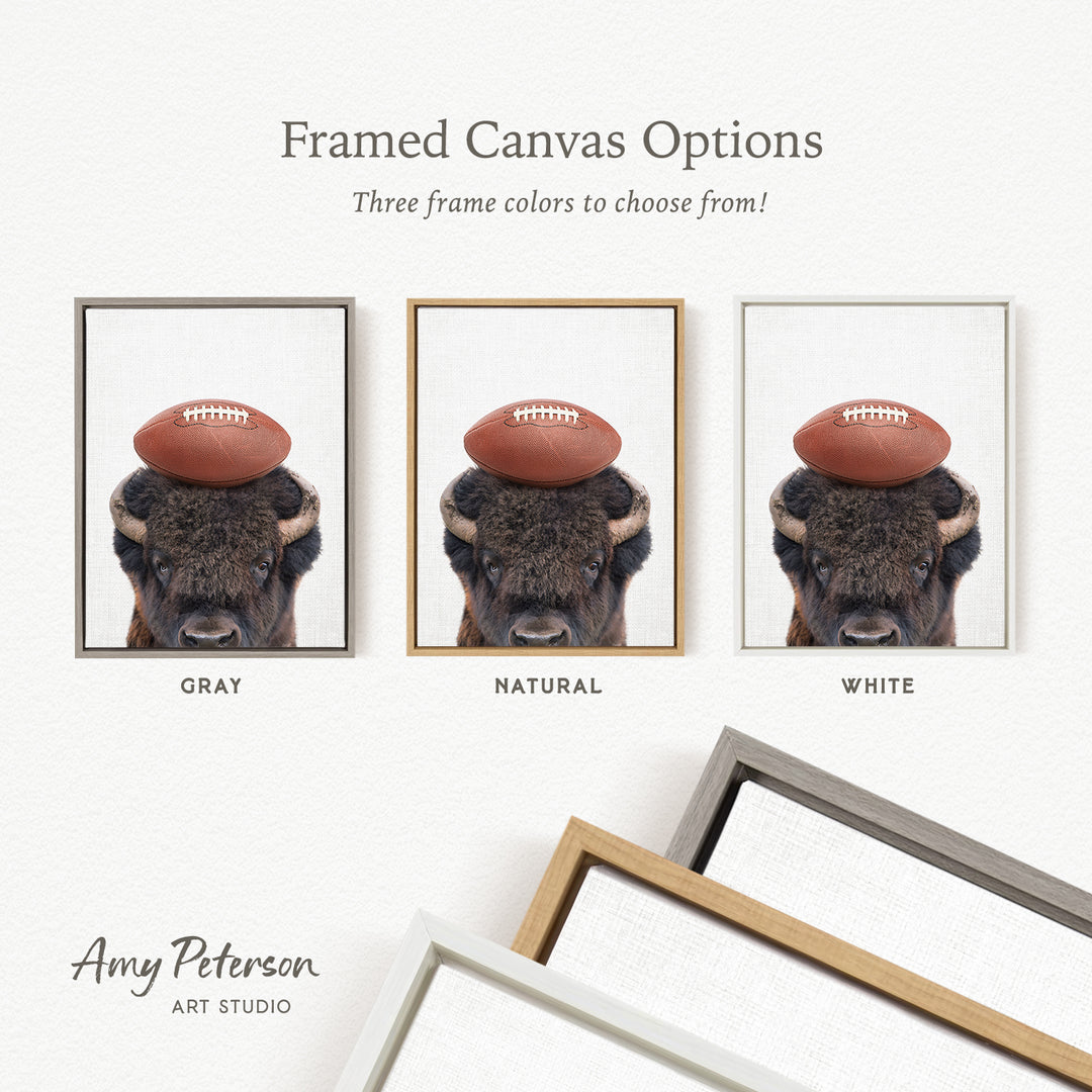 three framed canvas options, each featuring a buffalo with a football on its head. The options include a gray frame, a natural frame, and a white frame.