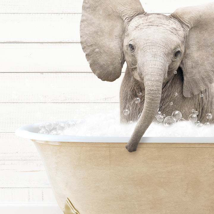 a baby elephant in a bathtub with bubbles