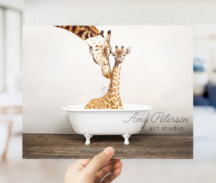 a giraffe sticking its head into a bathtub with another giraffe