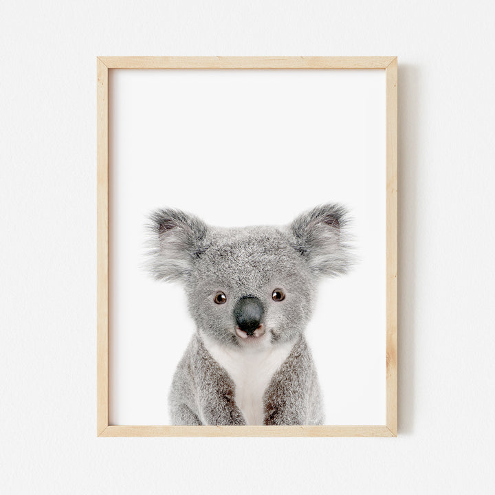 a picture of a koala in a wooden frame