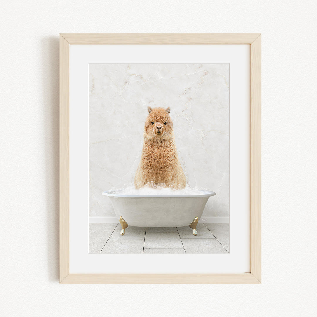 A fluffy brown dog sitting in a white bathtub filled with bubbles, looking directly at the camera.