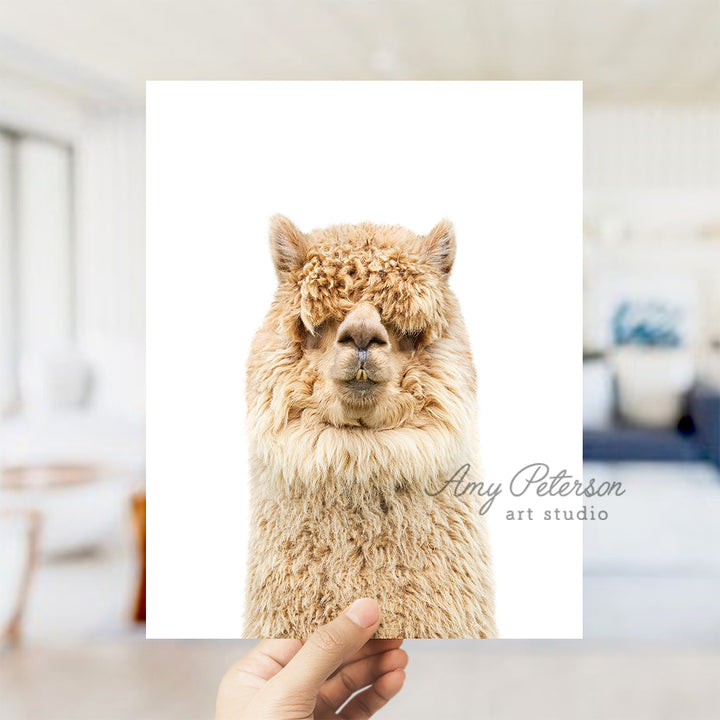 a person holding up a card with a picture of a llama