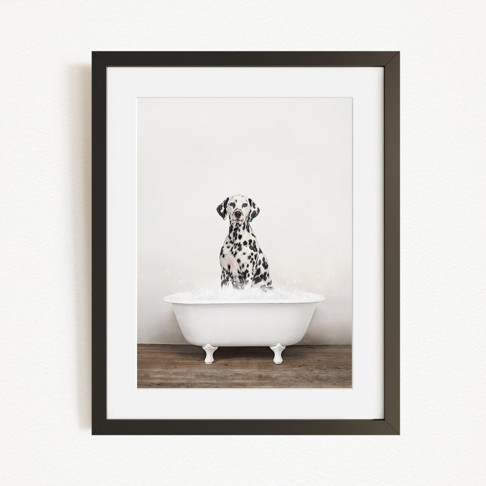 A Dalmatian dog sitting in a white bathtub filled with water, creating a playful and adorable scene.