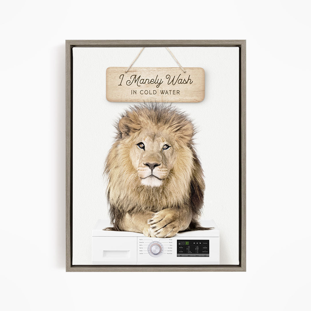 A framed image of a lion resting on a washing machine, with a wooden sign above that says "I Manely Wash in Cold Water".