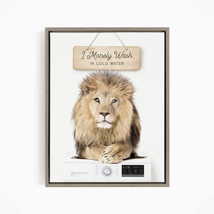 A framed image of a lion resting on a washing machine, with a wooden sign above that says "I Manely Wash in Cold Water".