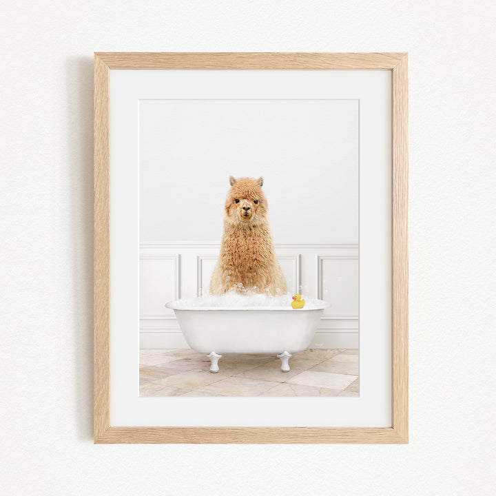 A fluffy brown alpaca sitting in a white bathtub filled with bubbles, with a yellow rubber duck floating in the water.