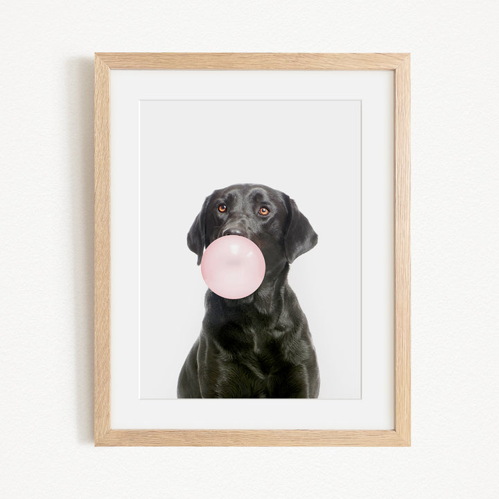 A black dog is blowing a pink bubble with its mouth, creating a playful and whimsical scene.