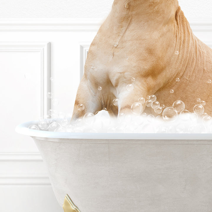 a dog sitting in a bathtub full of bubbles