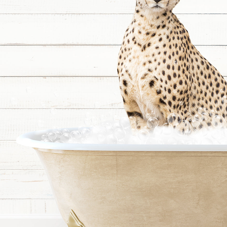 a cheetah sitting in a bathtub full of bubbles