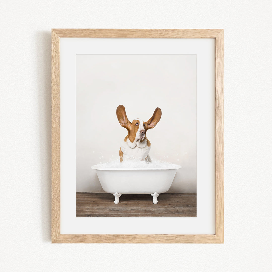 A brown and white dog sitting in a white bathtub, with its head tilted upwards and ears perked up, appearing to be enjoying a bath.