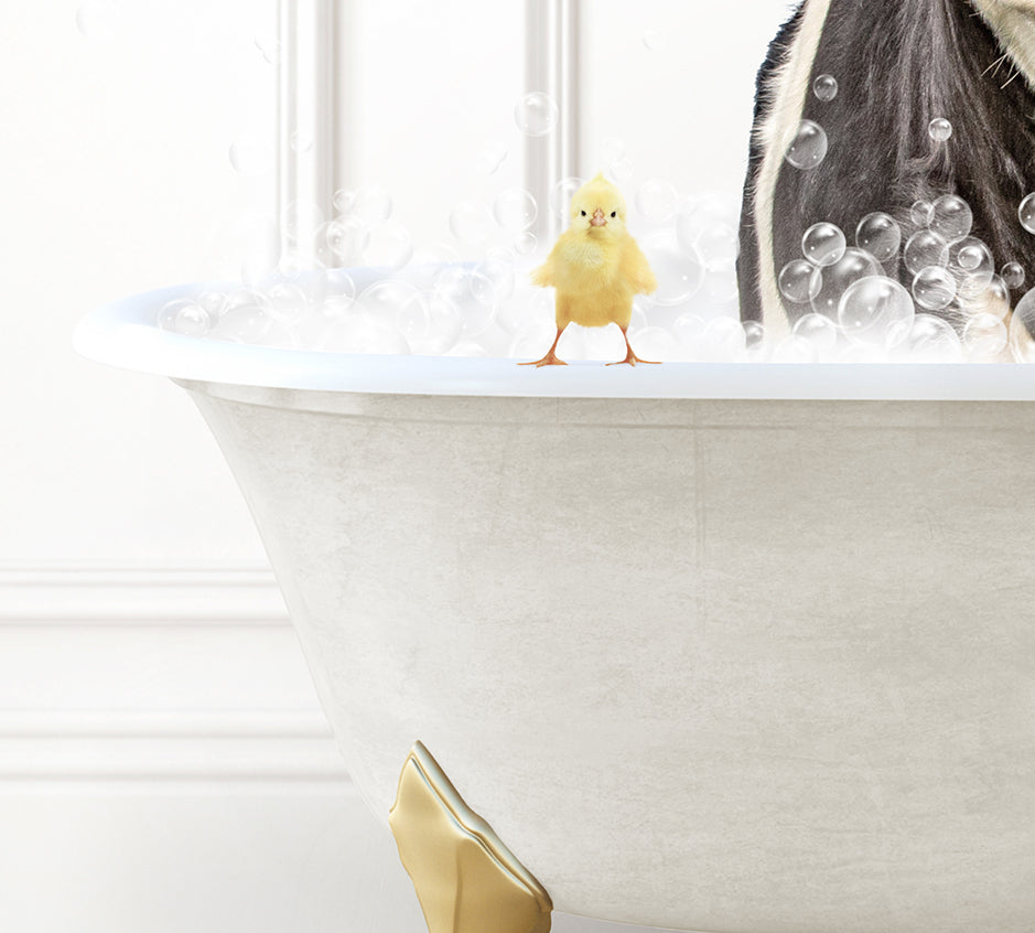 a cat in a bathtub with bubbles and a rubber duck