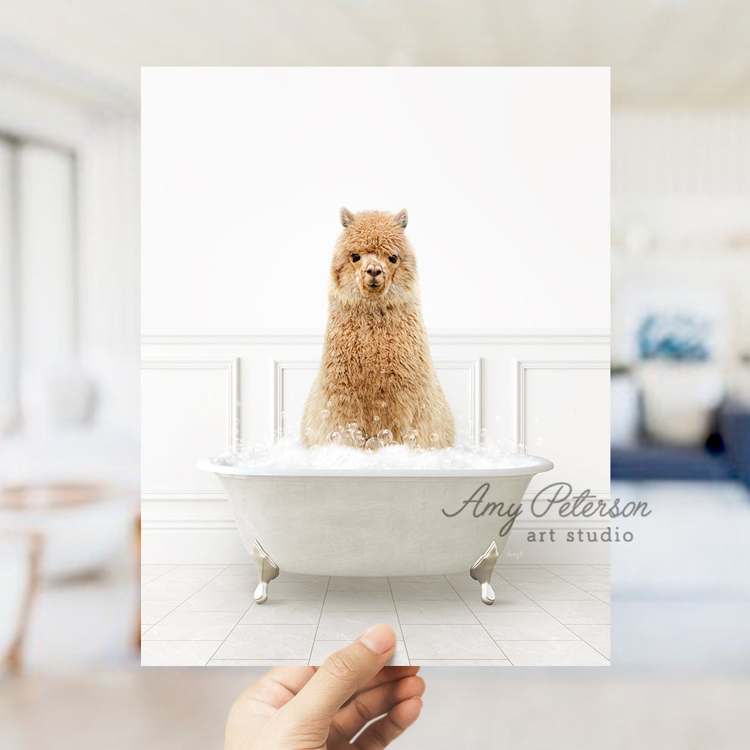 a hand holding a card with a dog in a bathtub