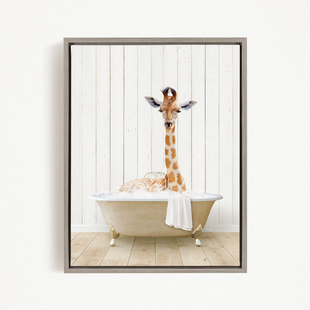 A giraffe is sitting in a bathtub, with its head above the water and a towel draped over its body.