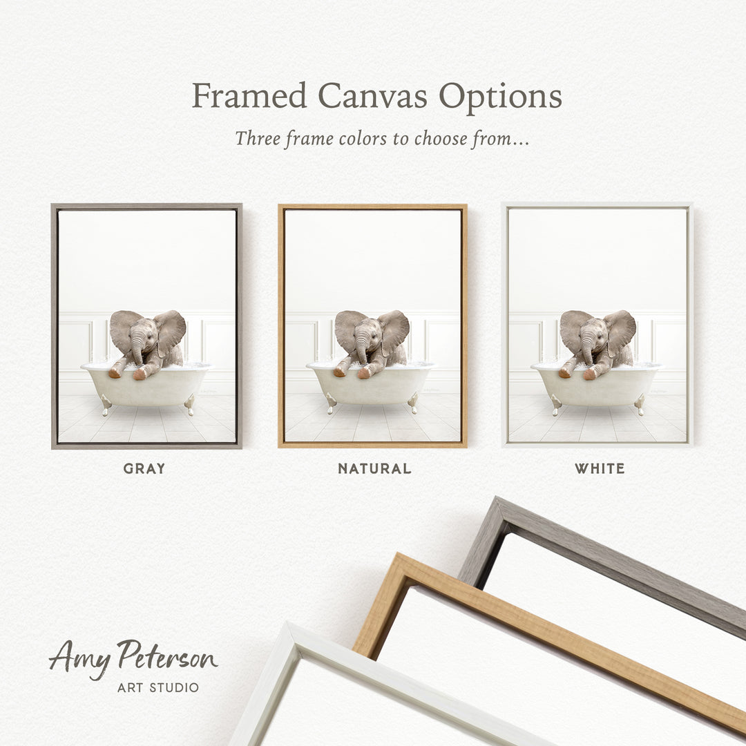 three framed canvas options, each with a different color: gray, natural, and white. The text above the images reads " framed Canvas Options" and "Three frame colors to choose from...". The text below the images reads "Grays", "NATURAL", and "WHITE". The artist's name, Amy Peterson, is also mentioned at the bottom of the image.