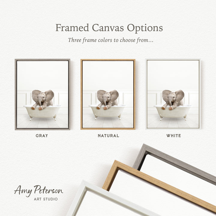 three framed canvas options, each with a different color: gray, natural, and white. The text above the images reads " framed Canvas Options" and "Three frame colors to choose from...". The text below the images reads "Grays", "NATURAL", and "WHITE". The artist's name, Amy Peterson, is also mentioned at the bottom of the image.