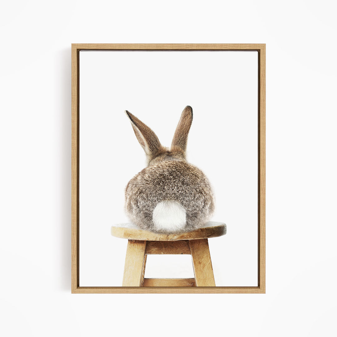 A brown hare sits on a wooden stool, facing away from the camera.