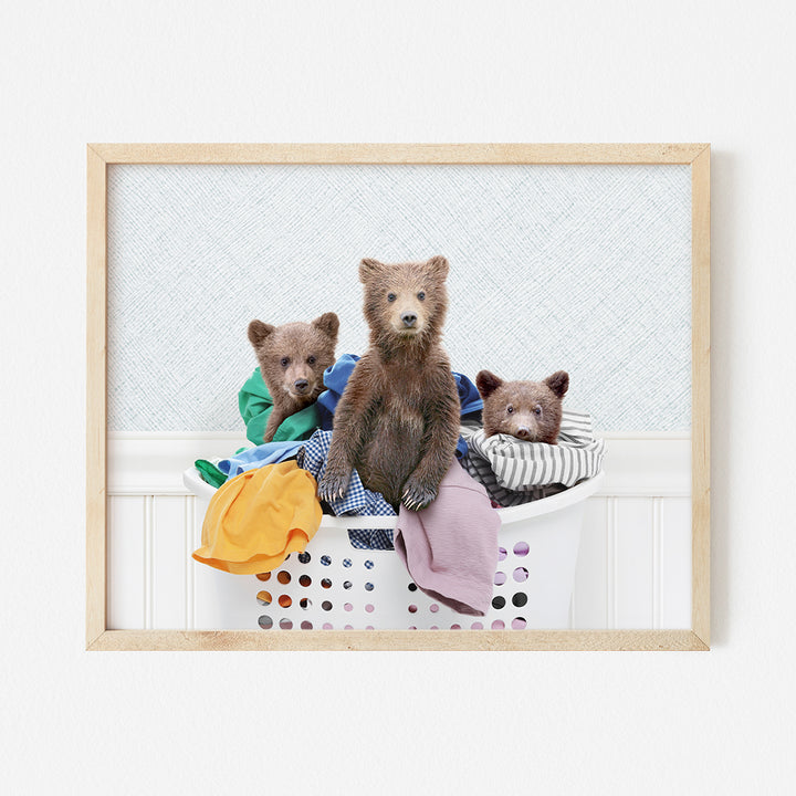 a picture of three bears sitting in a laundry basket