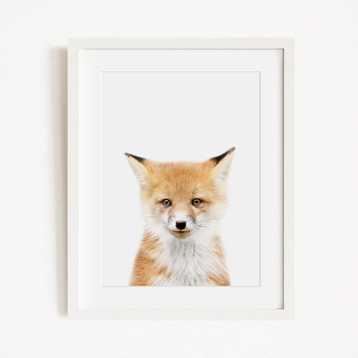 A framed image of a fox with a white background.