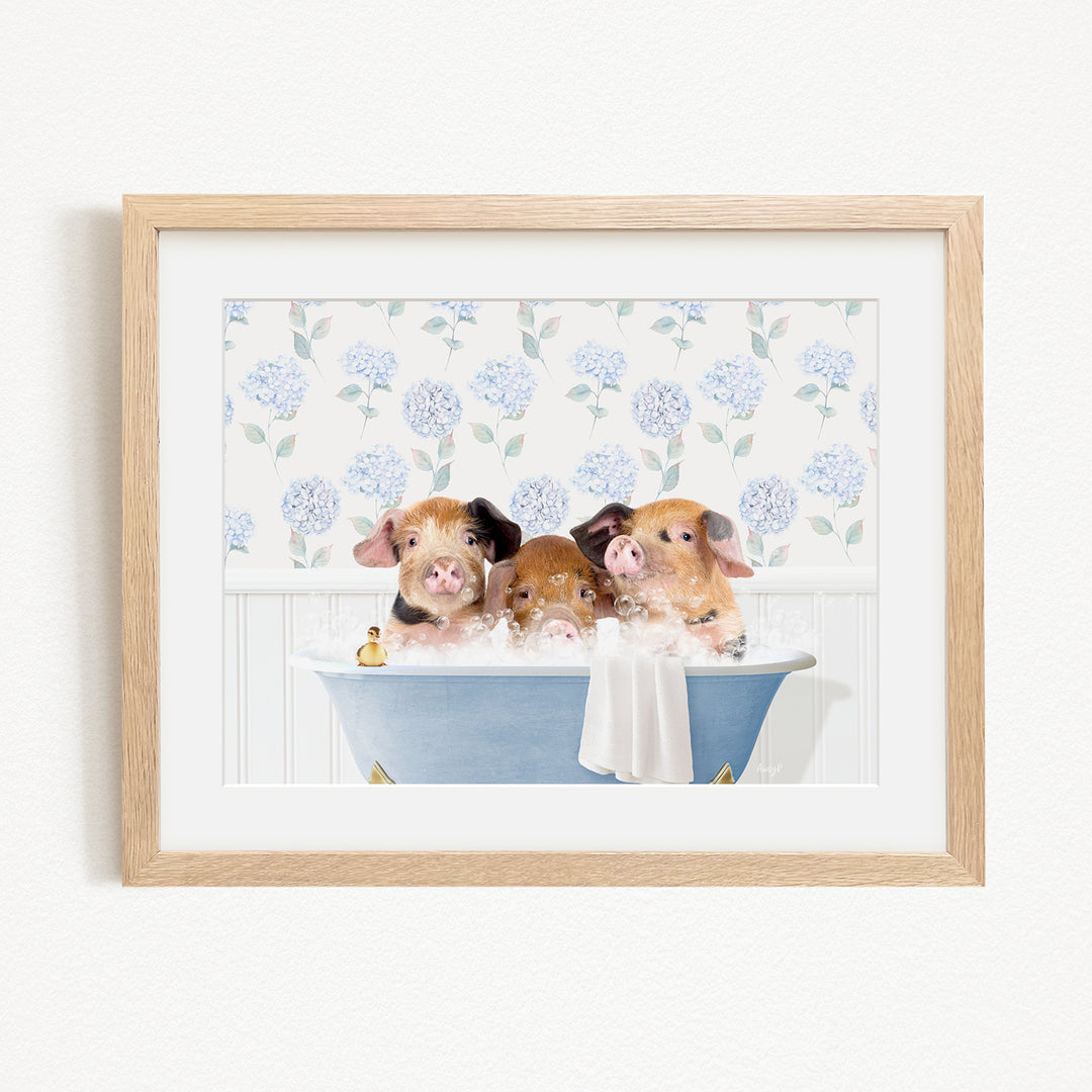 Three adorable pigs sitting in a blue bathtub, enjoying a relaxing bath together.