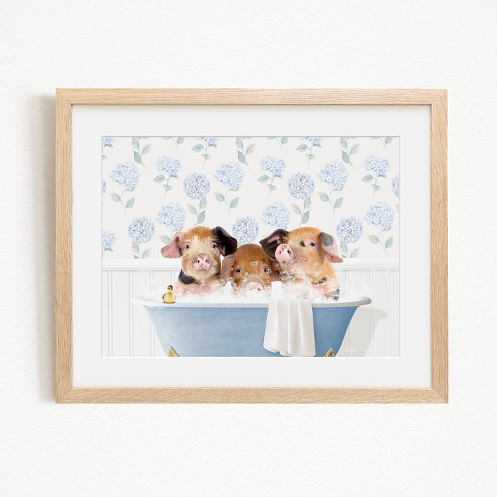 Three adorable pigs sitting in a blue bathtub, enjoying a relaxing bath together.