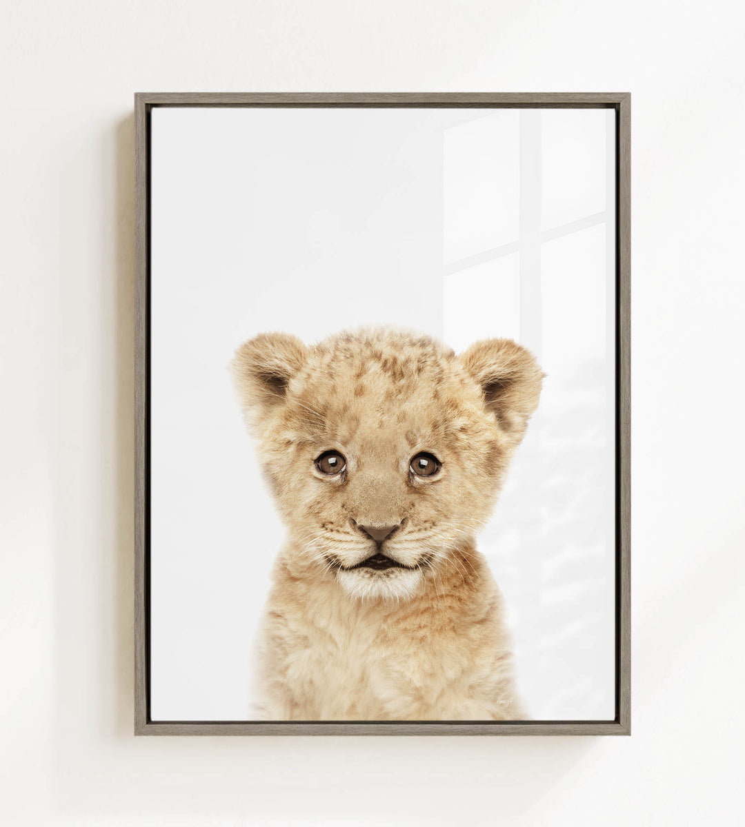 A young lion cub with large, expressive eyes and a curious expression is the focus of the framed image.