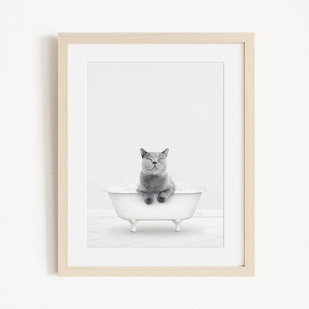 A gray cat sitting in a white bathtub, with its paws resting on the side of the tub.