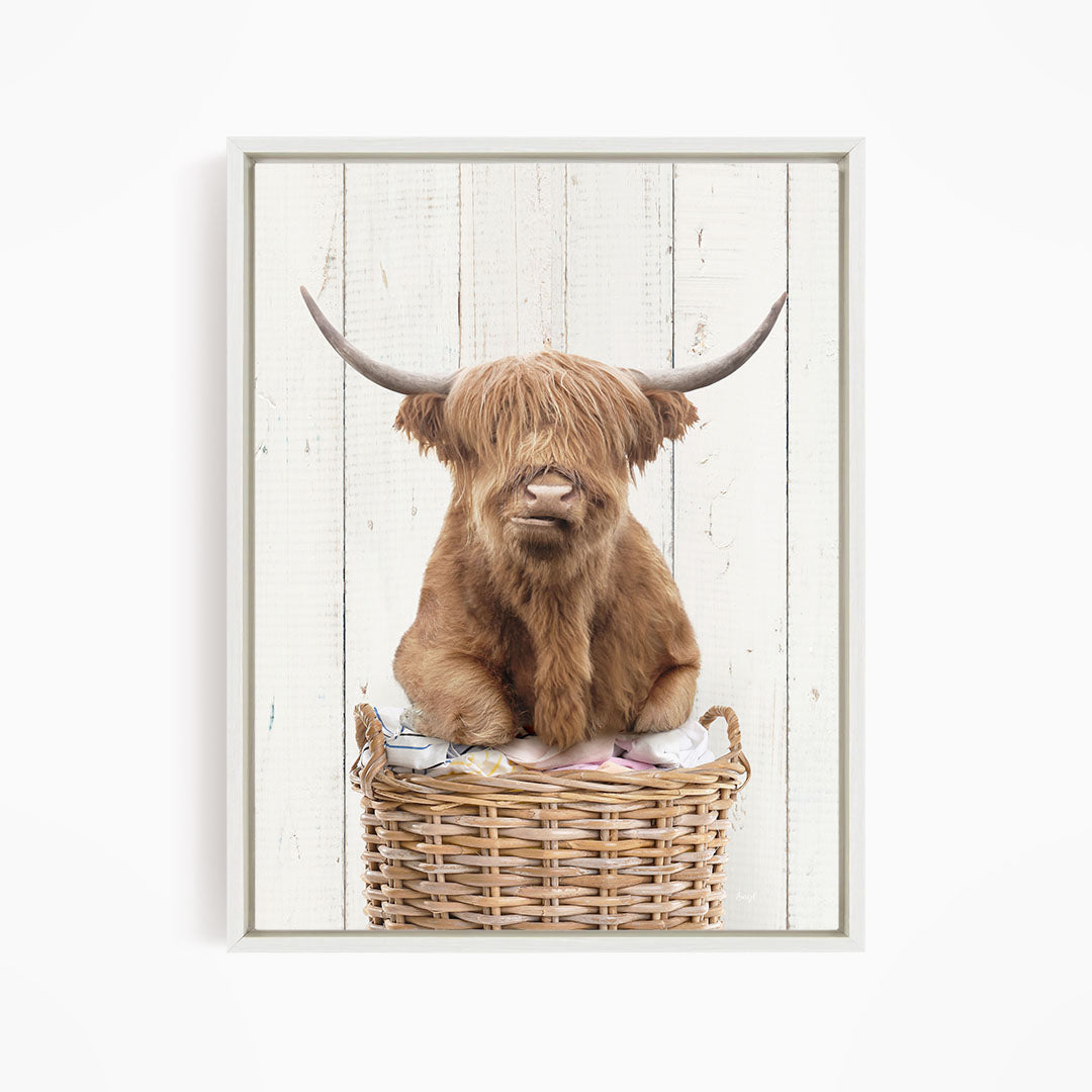A brown Highland cow with shaggy hair sits in a wicker basket against a white wooden background.