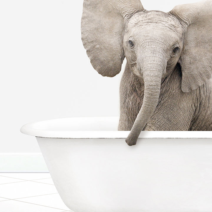 a baby elephant is standing in a bathtub