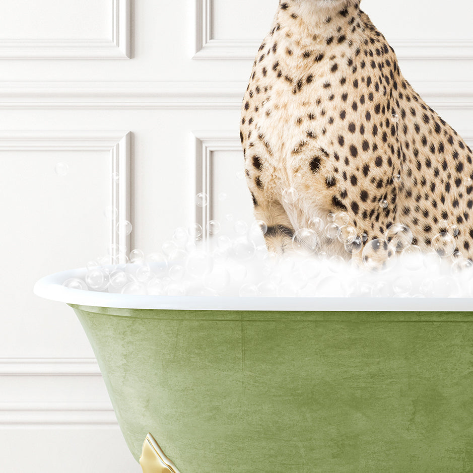 a cheetah sitting in a bathtub full of foam