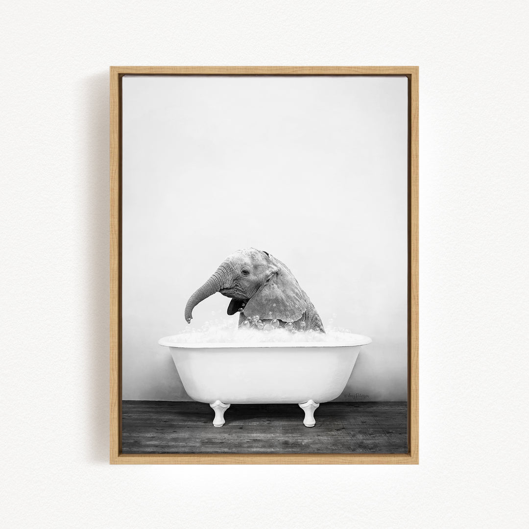 A black and white photograph of an elephant sitting in a bathtub filled with water.