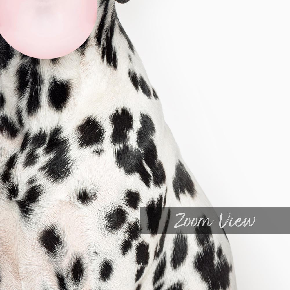 a dalmatian dog with a pink bubble in its mouth