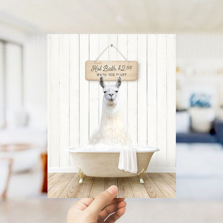 A hand holding a framed image of a white llama sitting in a bathtub, with a sign above it advertising a hot bath for $2.00.