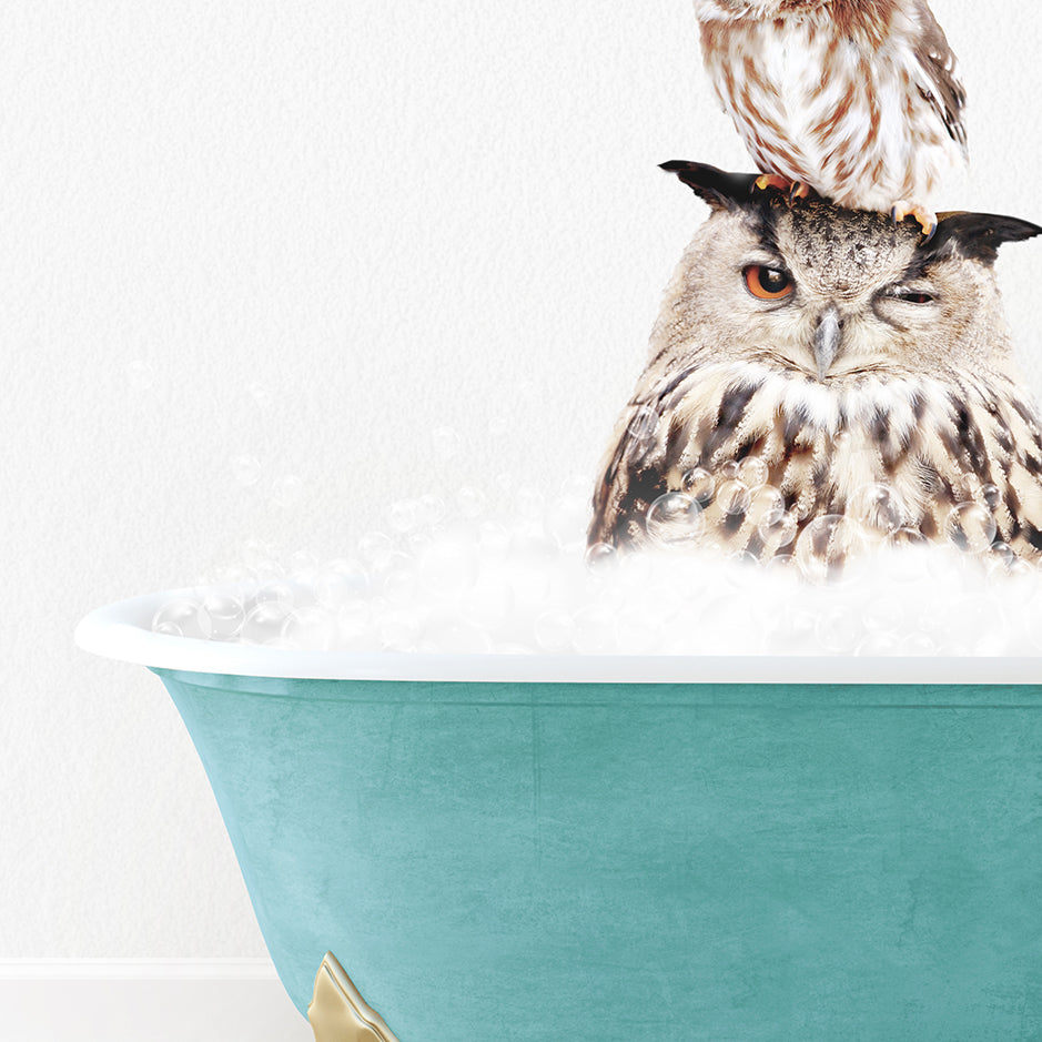 an owl sitting on top of a bath tub