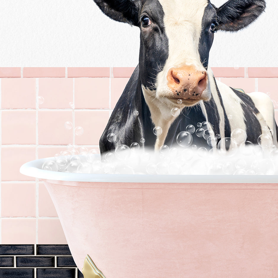 a black and white cow sitting in a bath tub