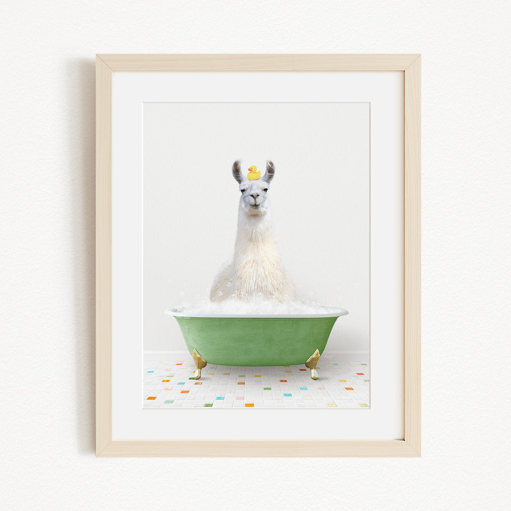 A white llama sitting in a green bathtub filled with bubbles, with a yellow rubber duck floating on the water.
