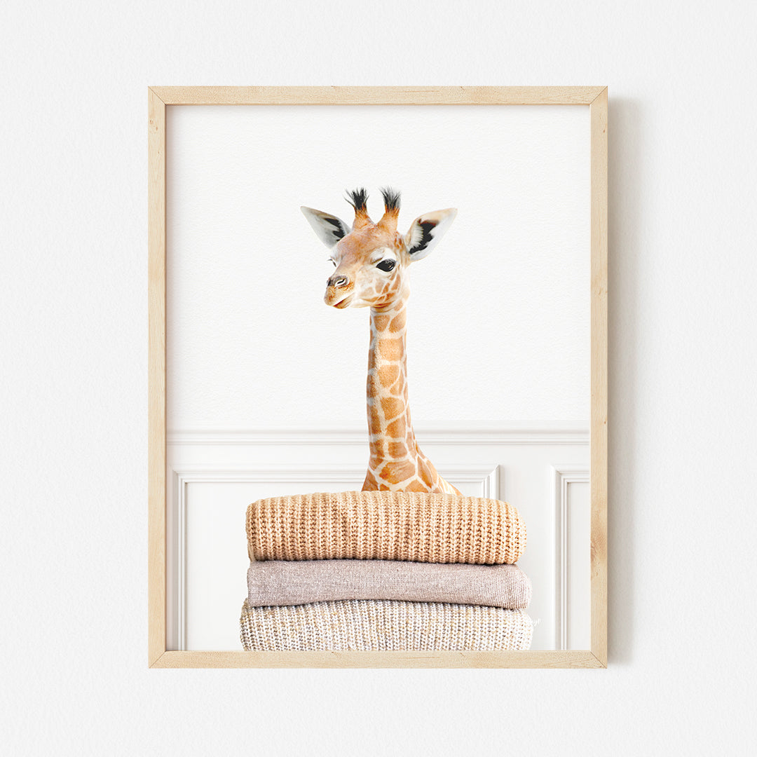 a picture of a giraffe peeking out of a frame