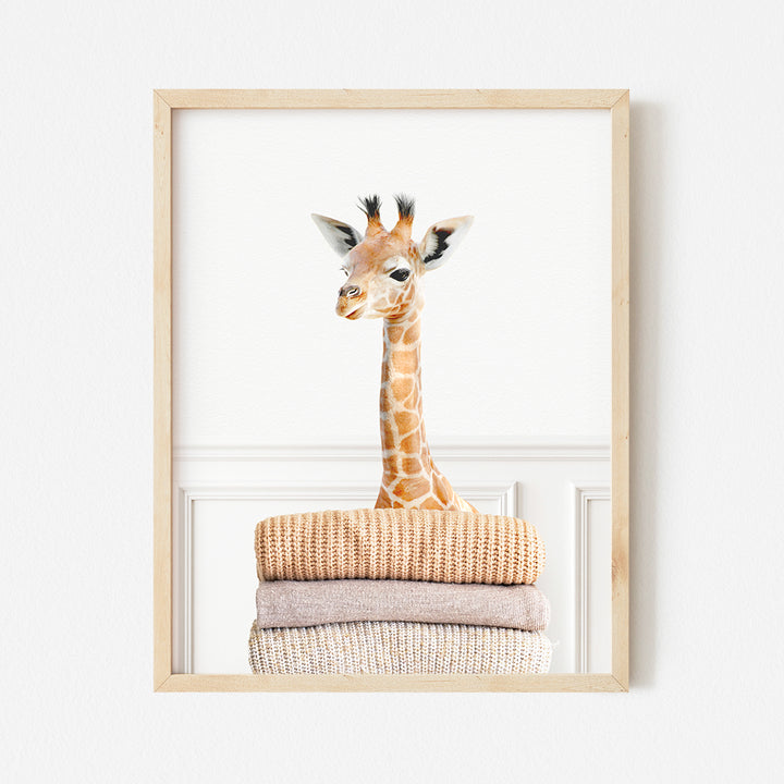 a picture of a giraffe peeking out of a frame