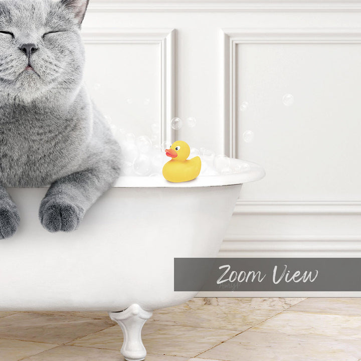 A gray cat is sitting in a white bathtub filled with bubbles, with a yellow rubber duck floating nearby.