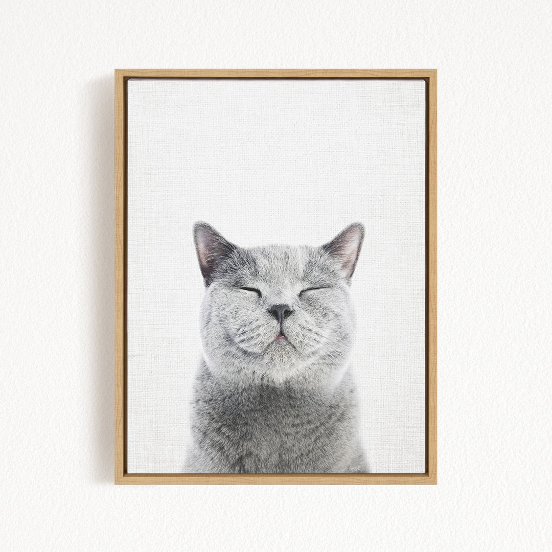A gray cat with its eyes closed and mouth slightly open, giving it a content and relaxed expression, is the main subject of the framed artwork.