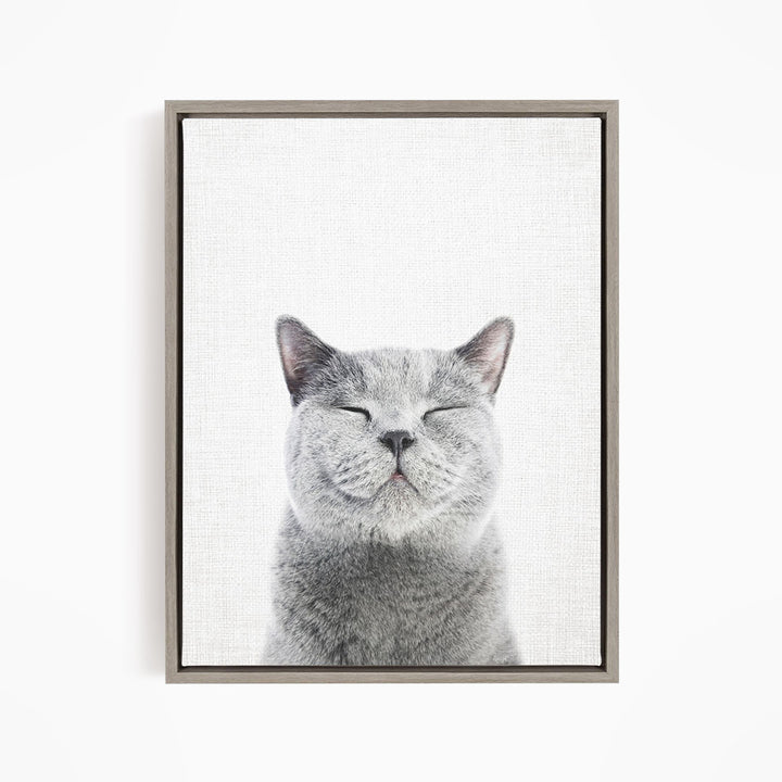 A gray cat with closed eyes and a content expression is the central focus of the framed image.