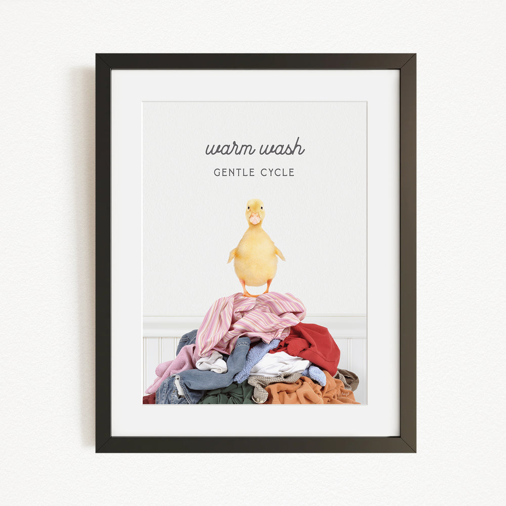 A framed image depicting a yellow duck standing on a pile of clothes, with the text "Warm wash Gentle Cycle" written above the duck.