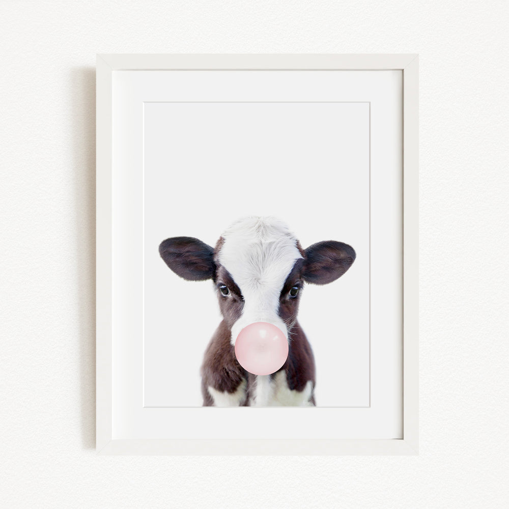 A framed image of a cow blowing a bubble with a pink bubble gum bubble.