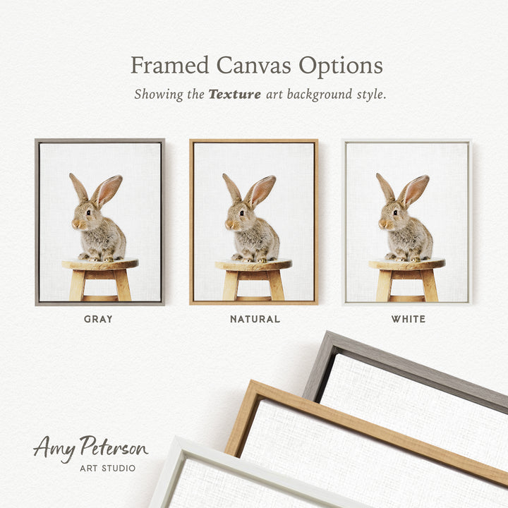 three framed canvas options, each featuring a different color background style: gray, natural, and white. The text above the images reads " Framed Canvas Options" and "Showing the Texture art background style." The artist's name, Amy Peterson, is also mentioned at the bottom of the image.