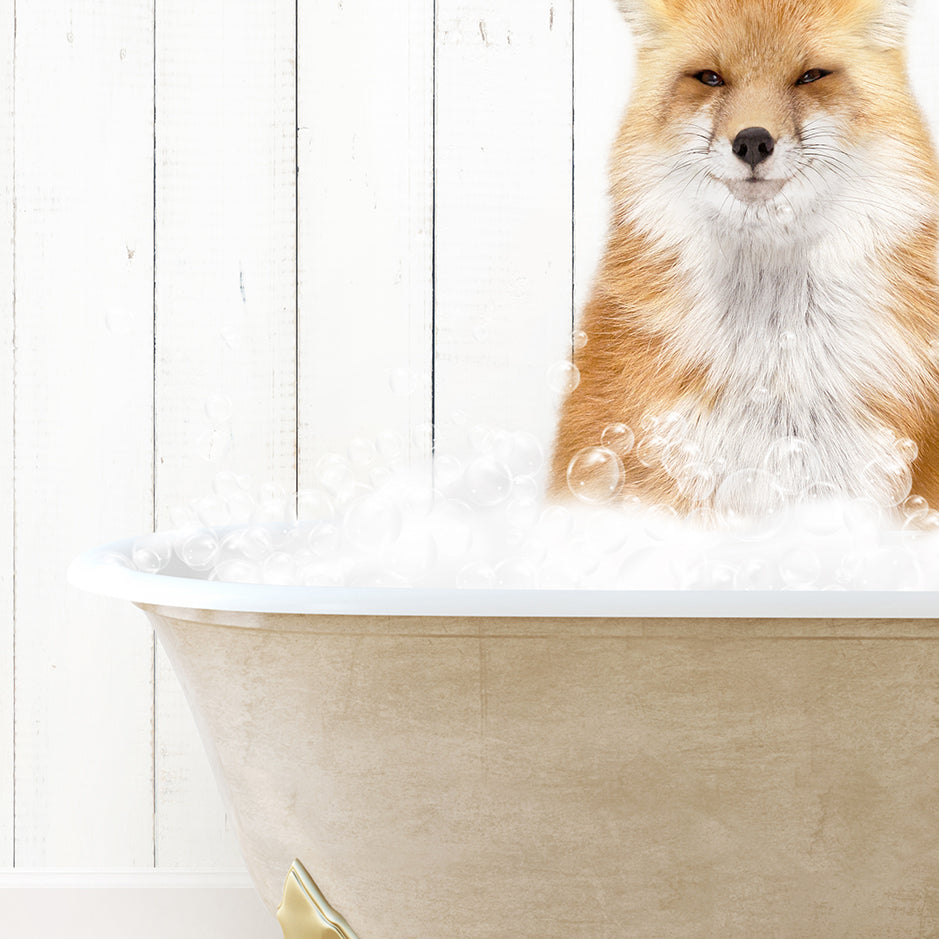 a fox sitting in a bathtub full of bubbles