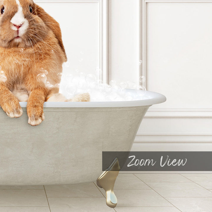 A cute orange rabbit sitting in a bathtub filled with bubbles, with the text "Zoom View" displayed below the image.