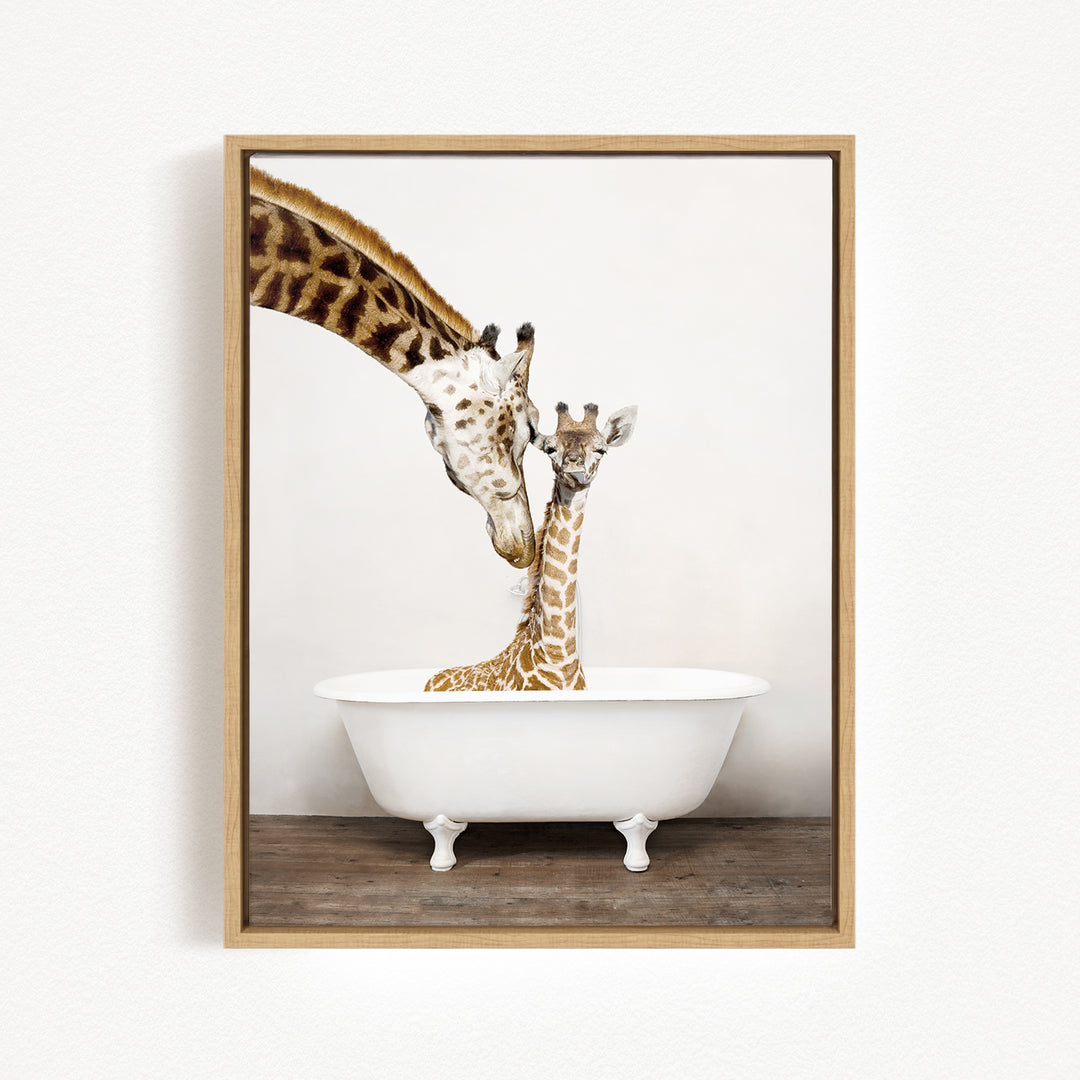 A mother giraffe and her baby giraffe are sitting together in a white bathtub, with the mother giraffe's long neck reaching over the baby giraffe.