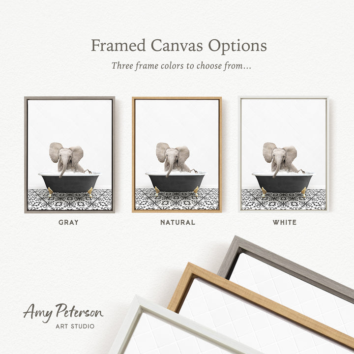 three framed canvas options, each featuring a different color: gray, natural, and white. The text above the images reads " Framed Canvas Options" and "Three frame colors to choose from...". The bottom of the image includes the text " Amy Peterson ART STUDIO".