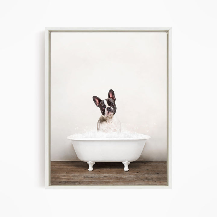 A dog sitting in a white bathtub filled with water, looking up at the camera with a playful expression.
