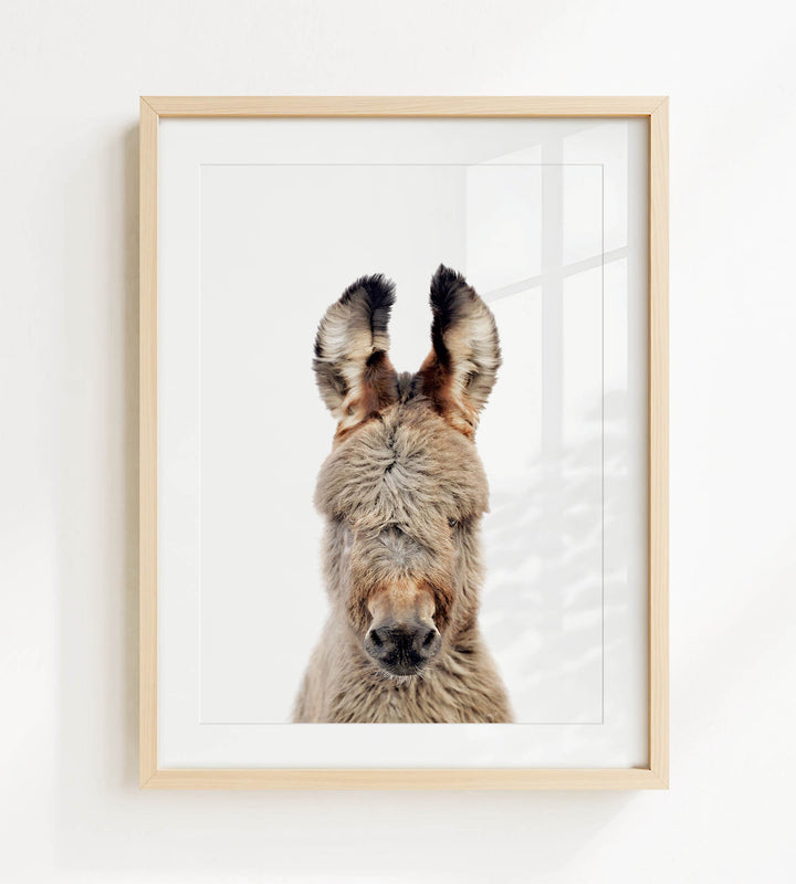 A close-up portrait of a donkey with its head turned to the side, revealing its large ears and a distinctive facial expression.