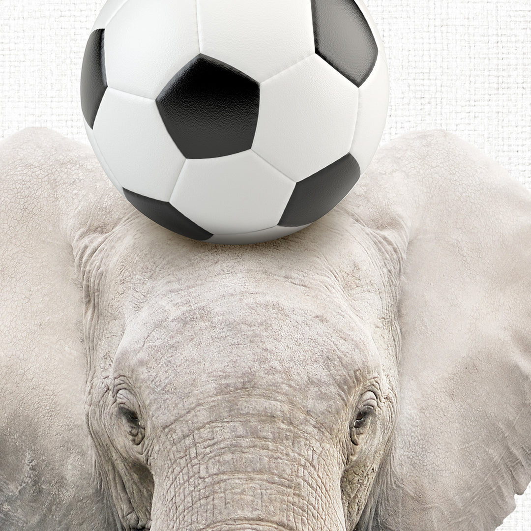 an elephant with a soccer ball on its head